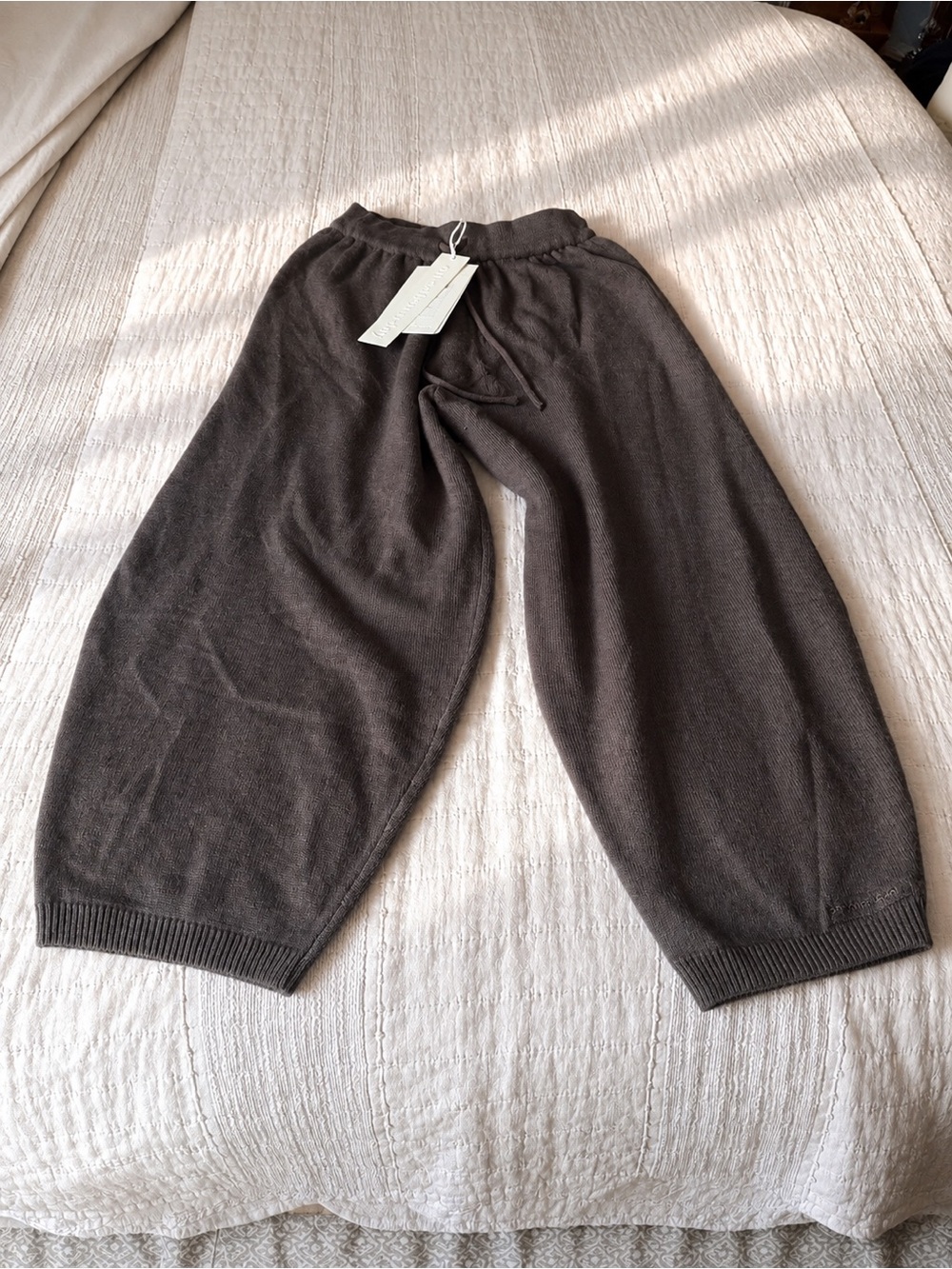 Pure Wool Tapered Drape Pants color cappuccino
